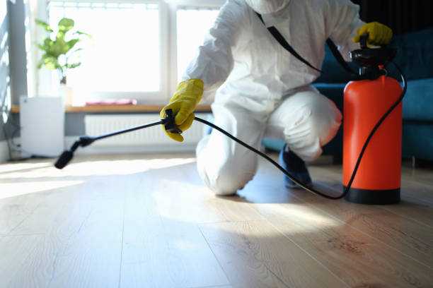 Reliable Sewage Cleanup contractor in Sunny Side, GA by Trauma Clean Pros
